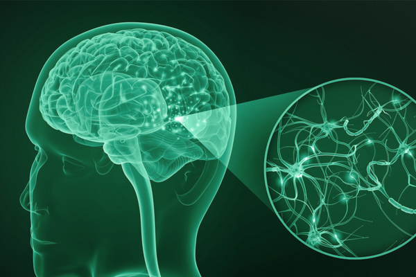 Early Alzheimers Detection Study Early Alzheimers Detection Study