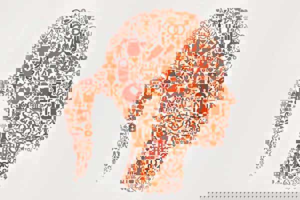 More Choice, Lower Costs and Better Health Care for Women More Choice, Lower Costs and Better Health Care for Women