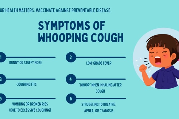 Pertussis Outbreak Pertussis Outbreak